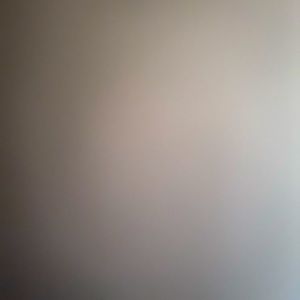 2 pair J Brand Houlihan Cargo jeans Black and Olive size 30